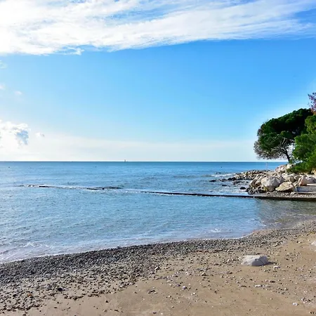 Bright In Zambratija (Istria)