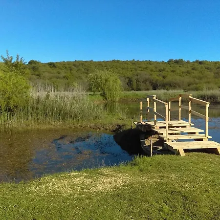 Bright In Zambratija (Istria)